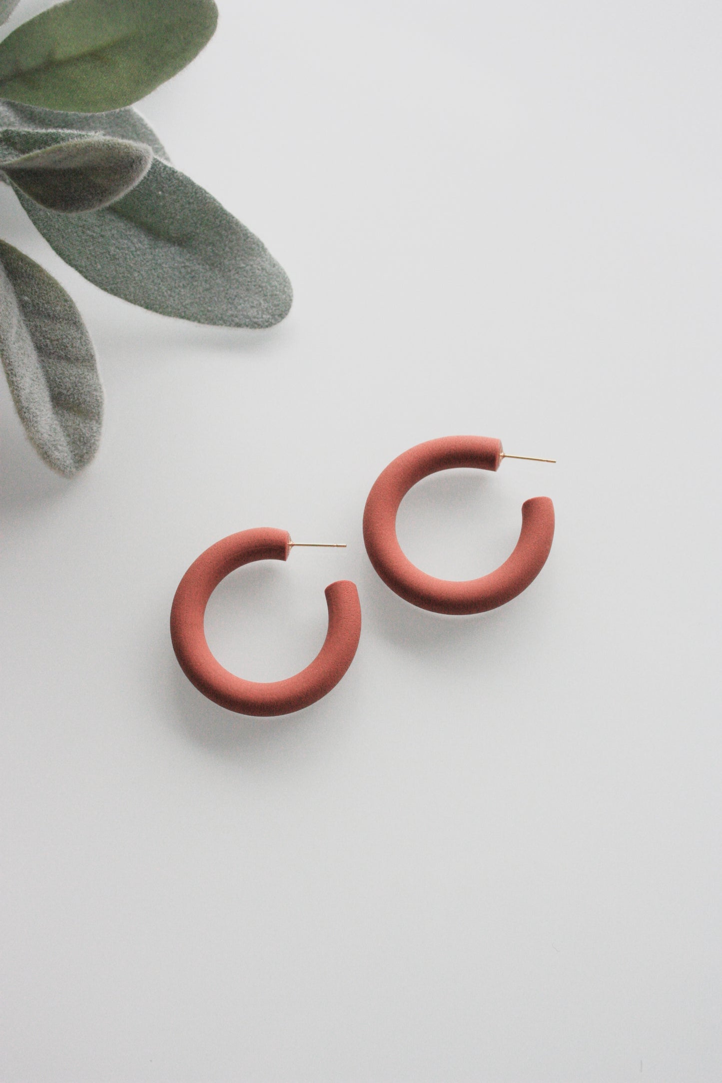Claire Hoops