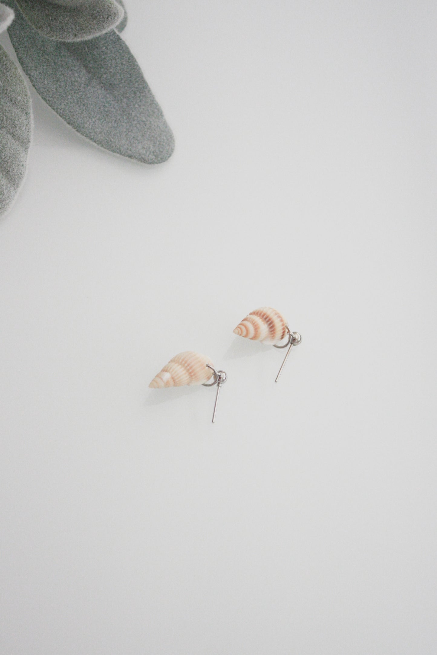 Seashell Dangles